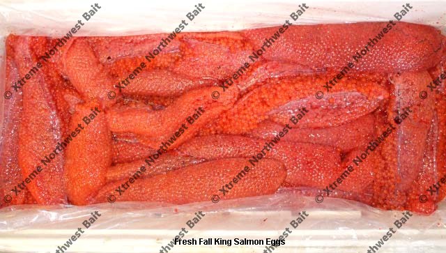 Fresh Salmon Egg, Fresh Salmon Roe, Xtreme Northwest Bait Co